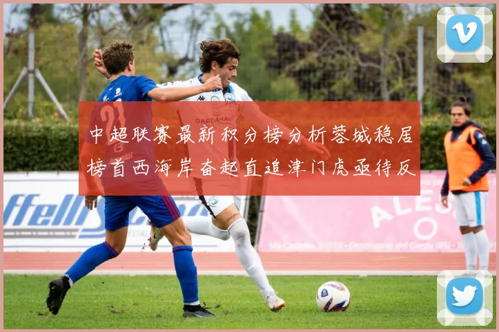 中超联赛最新积分榜分析蓉城稳居榜首西海岸奋起直追津门虎亟待反弹